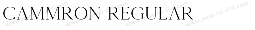 Cammron Regular字体转换
